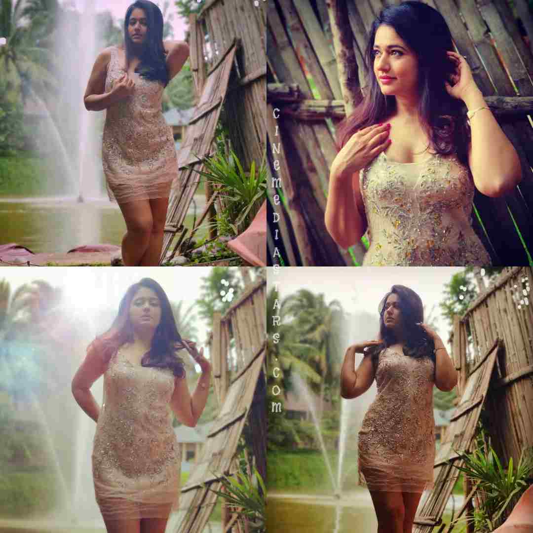 Actress Poonam Bajwa Latest Sizzling Hot Haze Photoshoot Stills