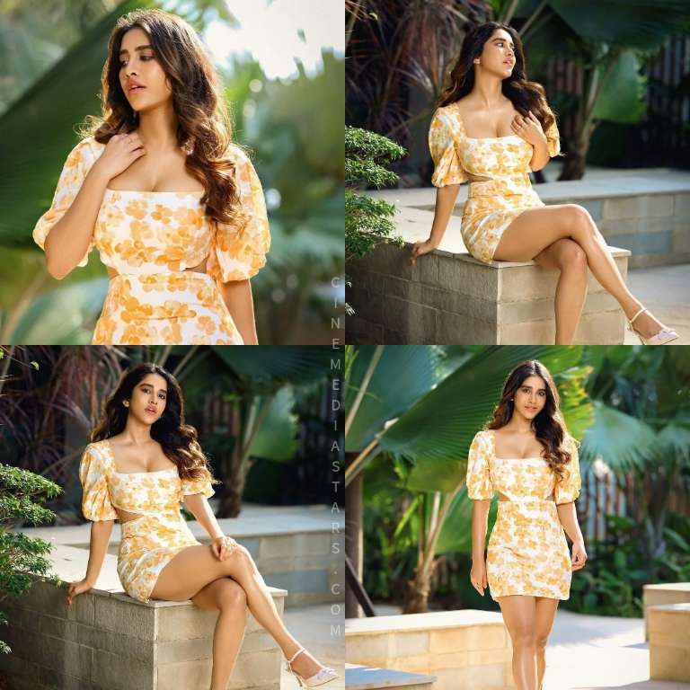 Nabha Natesh Looks Gorgeous in Latest Photoshoot